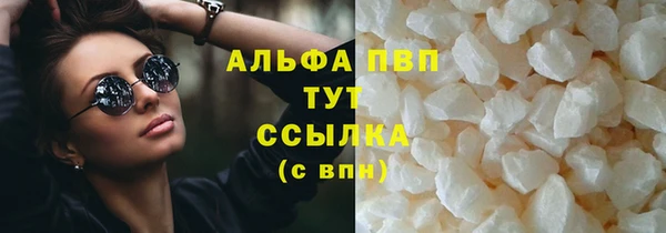 СК Аркадак