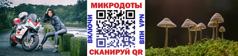 наркошоп  Ирбит  Псилоцибиновые грибы Cubensis 